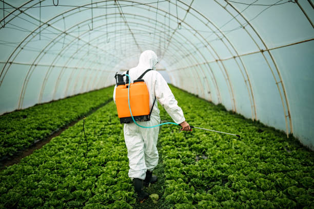 Best Pest Control for Homes  in Winlock, WA
