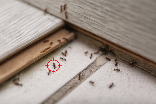 Best Wildlife Control Services  in Winlock, WA