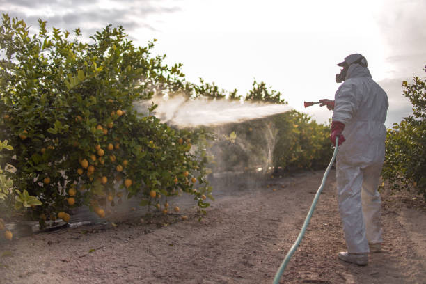 Best Pest Removal Services  in Winlock, WA