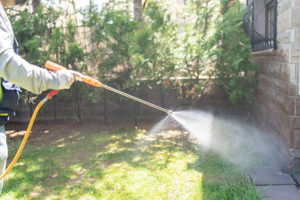 Best Pest Removal Services  in Winlock, WA