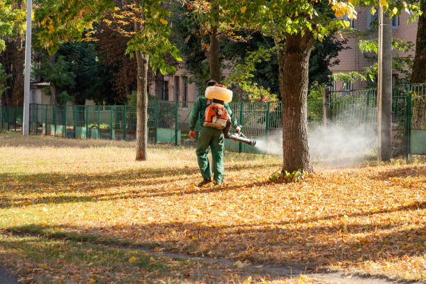 Best Termite Control Services  in Winlock, WA