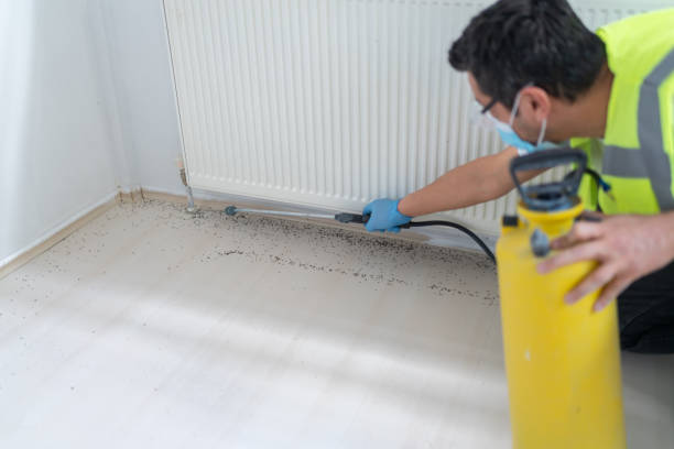 Best Mosquito Control Services  in Winlock, WA